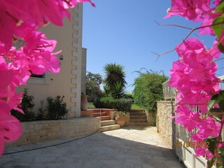 Villa Prines Buitenaudio-opname 12