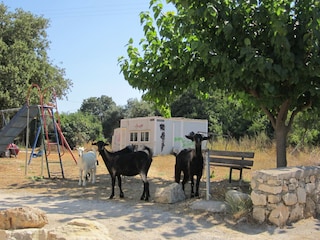 Villa Prines Umgebung 42