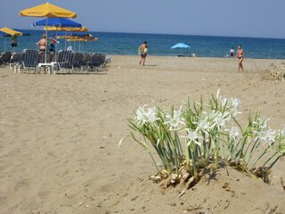 Villa Prines Ambiente 44