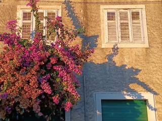 Apartment Brna  28