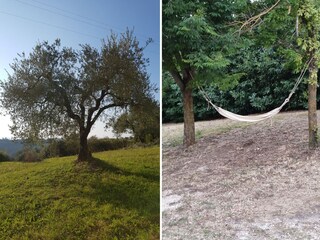 Casa per le vacanze Selci Registrazione all'aperto 10