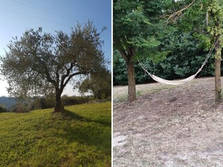 Casa de vacaciones Selci Grabación al aire libre 6