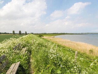 Vakantiepark Kortgene Omgeving 24