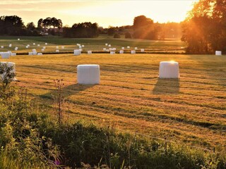 Vakantiehuis Nässjö Buitenaudio-opname 4