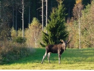 Vakantiehuis Nässjö  43