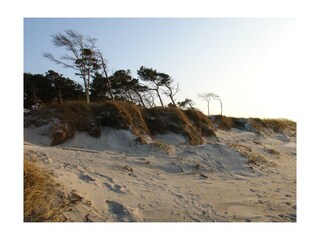 Prerow Weststrand