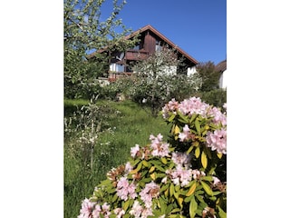 Ferienwohnung Forbach Außenaufnahme 7