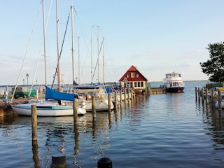 Hafen Born