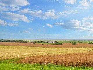 Holiday house Gjellerodde  29