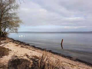 Vakantiehuis Virksund  25