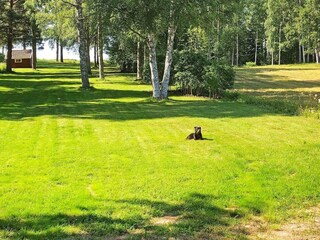 Vakantiehuis Siljansnäs  19