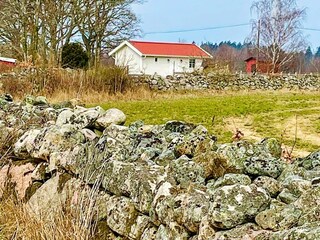 Holiday house Torsås Outdoor Recording 6