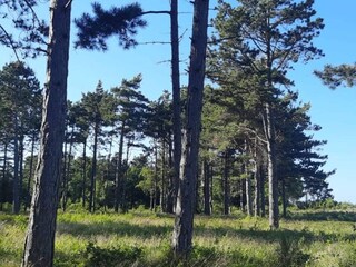 Vakantiehuis Rørvig  7