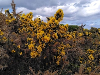 Ferienhaus Rørvig  8