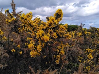 Vakantiehuis Rørvig  8