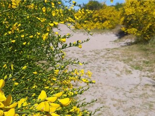 Maison de vacances Rørvig  9