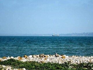 Ferienhaus Rørvig  39