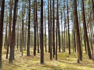 Ferienhaus Degeberga  7