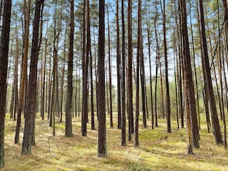 Vakantiehuis Degeberga  7