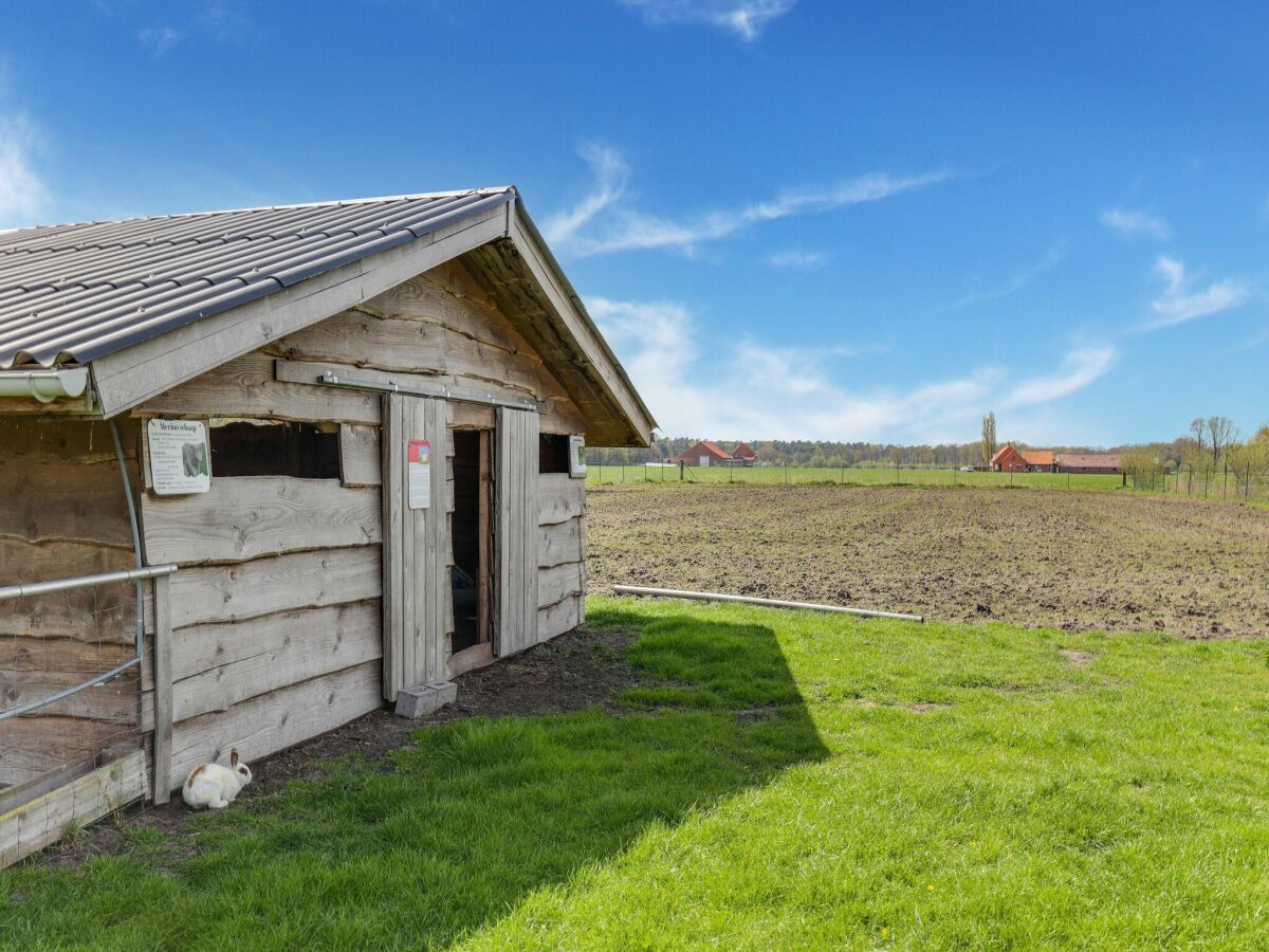 Ferienhaus Baarle-Nassau Außenaufnahme 10