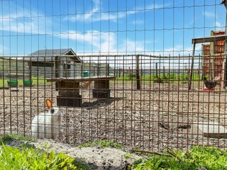 Casa per le vacanze Baarle-Nassau  37