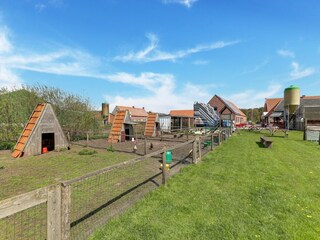 Maison de vacances Baarle-Nassau Environnement 35