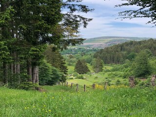 Casa per le vacanze Winterberg Ambiente 39