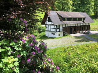 Ferienhaus Winterberg Außenaufnahme 3
