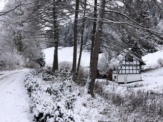 Ferienhaus Winterberg Außenaufnahme 6