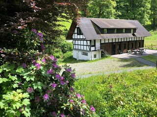 Casa de vacaciones Winterberg Grabación al aire libre 10