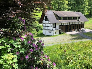 Ferienhaus Winterberg Außenaufnahme 10