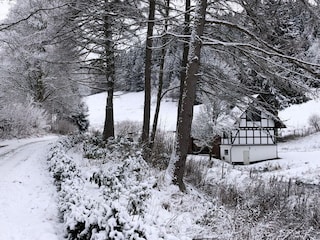 Ferienhaus Winterberg Außenaufnahme 6