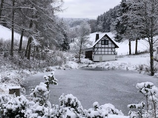 Ferienhaus Winterberg Außenaufnahme 5
