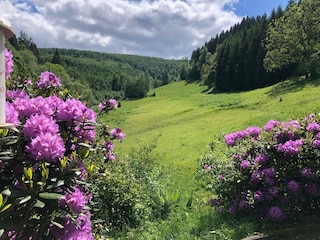 Holiday house Winterberg Outdoor Recording 10
