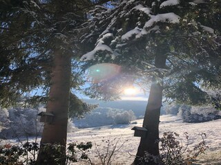Casa per le vacanze Winterberg Registrazione all'aperto 9
