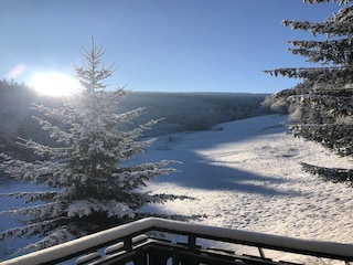 Holiday house Winterberg Outdoor Recording 11