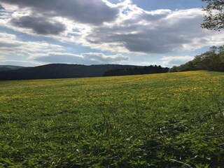 Casa per le vacanze Winterberg Ambiente 35
