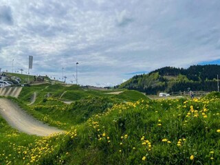 Maison de vacances Winterberg Environnement 35