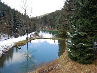 Maison de vacances Winterberg Environnement 28
