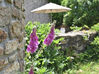 Type de propriété : Chalet Baguer-Morvan Enregistrement extérieur 6