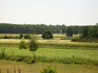 Vakantiehuisje Baguer-Morvan Buitenaudio-opname 14