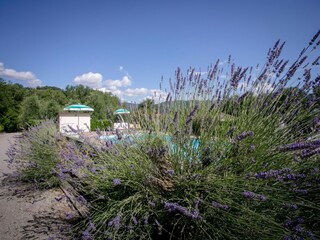 Villa Castiglion Fiorentino Features 13