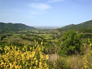 Villa Castiglion Fiorentino Environnement 26