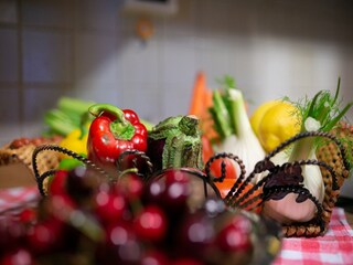 Villa Castiglion Fiorentino  30