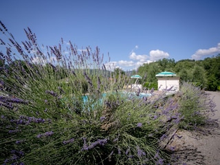 Villa Castiglion Fiorentino Außenaufnahme 4