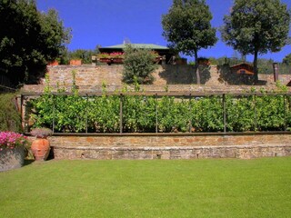 Holiday cottage Cortona Outdoor Recording 8