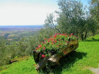 Cottage Cortona Außenaufnahme 5