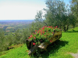 Holiday cottage Cortona Outdoor Recording 10