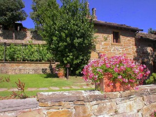 Holiday cottage Cortona Outdoor Recording 11