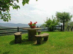 Casa per le vacanze Pittoresco cottage a Cortona con piscina - Corona - image1